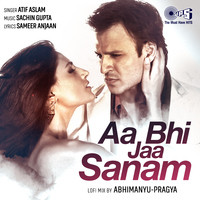 Aa Bhi Jaa Sanam Lyrics In Hindi