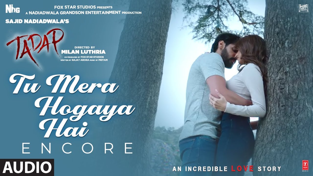 Tu Mera Ho Gaya Hai Lyrics in Hindi