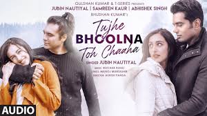 Tujhe Bhoolna Toh Chaaha Lyrics in Hindi