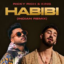 Habibi (Indian Remix) Lyrics in Hindi