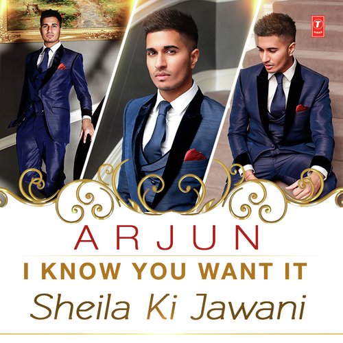 I Know You Want It (Sheila Ki Jawani) Lyrics in Hindi