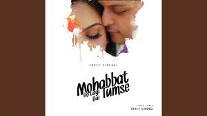 Mohabbat Ho Gayi Hai Tumse Lyrics in Hindi