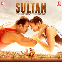 Rise Of Sultan Lyrics in Hindi