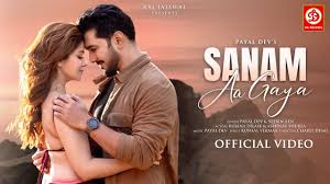 Sanam Aa Gaya Lyrics in Hindi