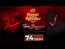 Tere Bagairr Lyrics in Hindi