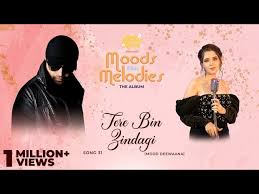 Tere Bin Zindagi Lyrics in Hindi