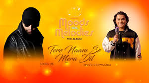 Tere Naam Se Mera Dil Lyrics in Hindi