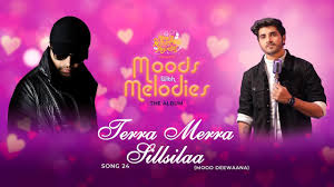 Terra Merra Sillsilaa Lyrics in Hindi