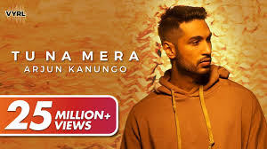 Tu Na Mera Lyrics in Hindi