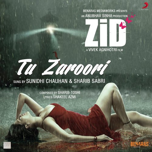Tu Zaroori Lyrics in Hindi