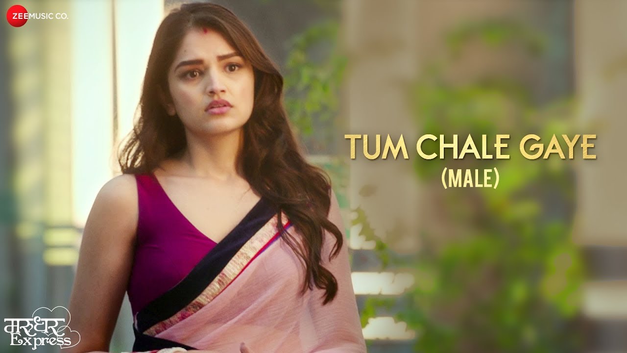 Tum Chale Gaye Lyrics in Hindi