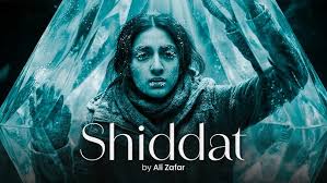 Shiddat Lyrics in Hindi